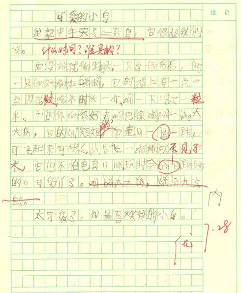 关于鸟类的组成