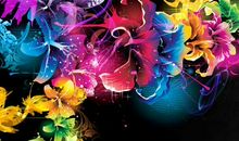 四彩缤纷的暑假