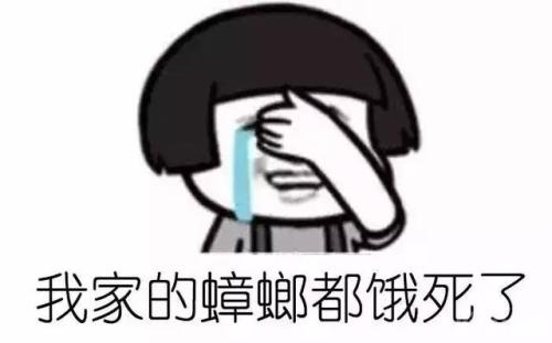 老鼠，我想告诉你