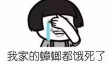 老鼠我想对你说