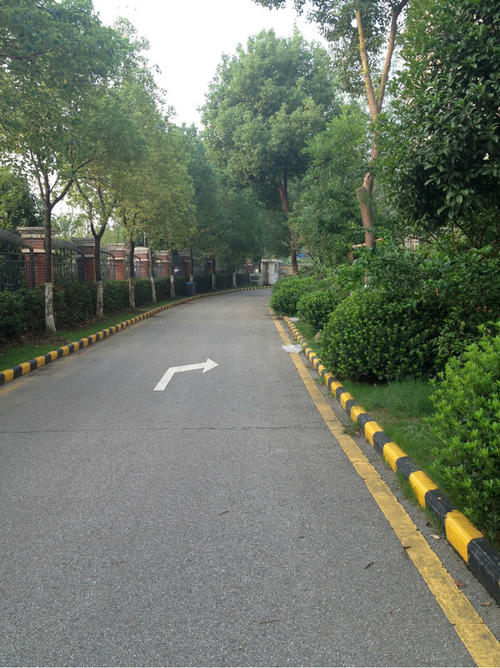 我喜欢家乡的柏油路