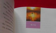 因为你我的青春与世界温暖相拥作文