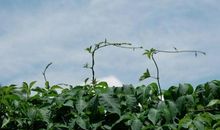 那一刻，我错了