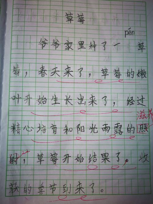 我喜欢写作