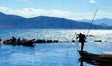 陪您一起等四季