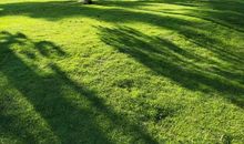 那片绿绿的草地