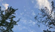 怀念细水长流的日子