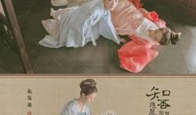 知否知否应是绿肥红瘦