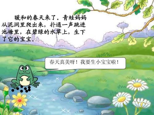 青蛙妈妈寻找t