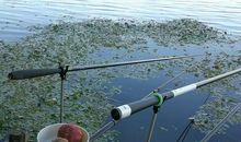 那个教会我细心的人