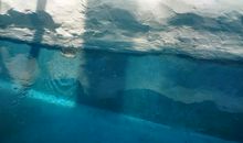 难忘的郑州海洋馆