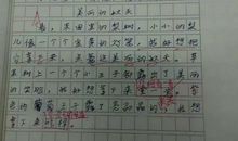 书籍伴我一路前行