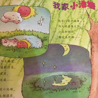 我的池塘
