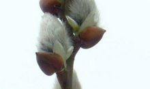 今年春天我很期待