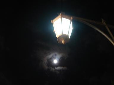 珍惜窗外的光