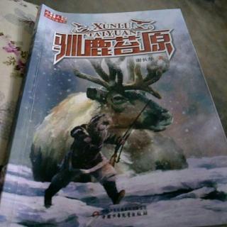 驯鹿苔原