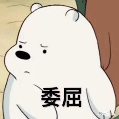 一个让我难忘的词