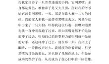 关于英雄的作文