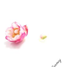 心和心其实很亲密