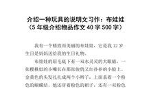 推销物品的作文