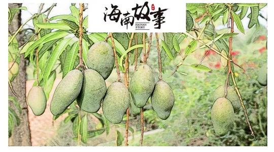 地球的青年