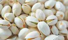 我身边的开心果