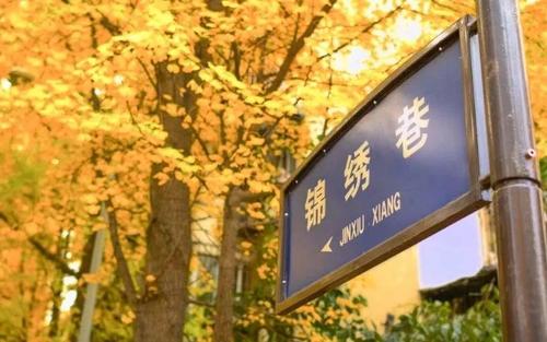 布朗北秋
