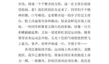 记一次精彩运动会作文