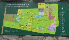 游北京野生动物园