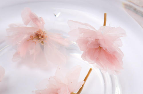 做樱花