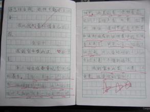 故乡风光构图200字