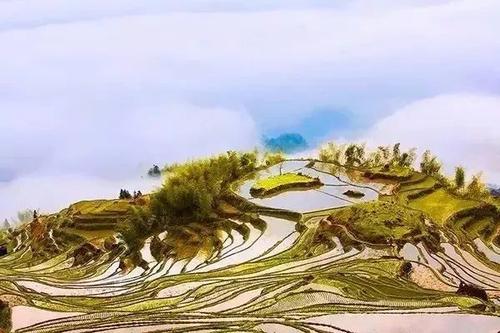 丽水之旅