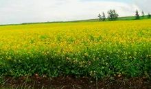 当上帝关上了一扇窗，你的世界依然五彩缤纷