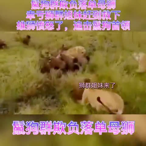 阶级事件