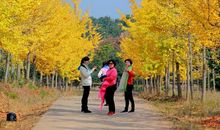 冬日里的一抹暖色