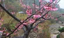 夏季里的第一场雨