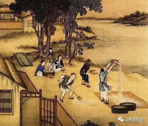 农业的味道