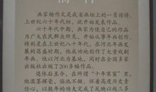 关于民族情的作文