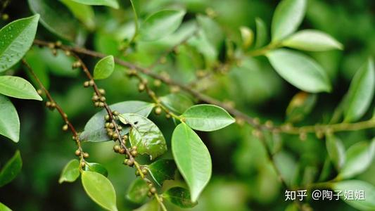 大自然带给我快乐