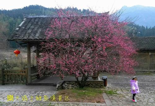 梅花溪