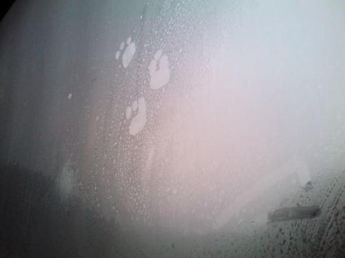 雨的气味