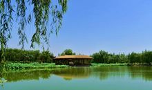 游浐灞湿地公园