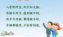 大脑和手的故事