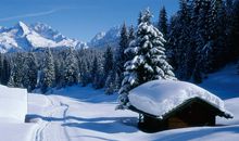 我的“冬日小屋”