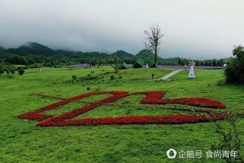一群人在故乡