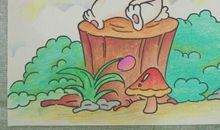 我家的两只小白兔