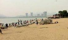 徜徉在书的世界