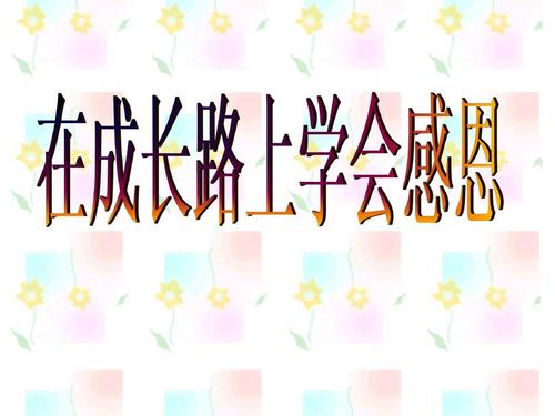在成长的道路上