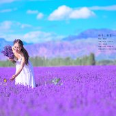 青少年的季节