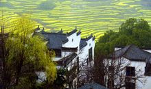 美丽的江西婺源